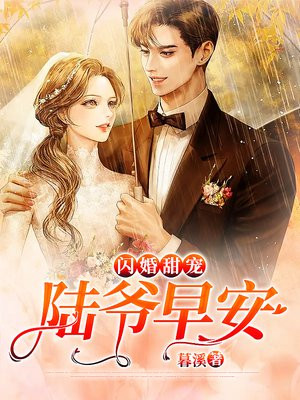 闪婚甜宠：陆爷，早安！