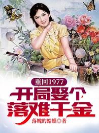 重回1977：开局娶个落难千金