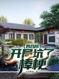 四合院，开局坑了棒梗天倌赐福