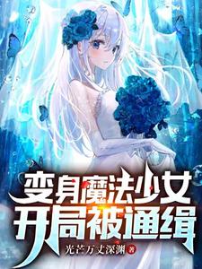 变身魔法少女，开局被通缉光芒万丈深渊