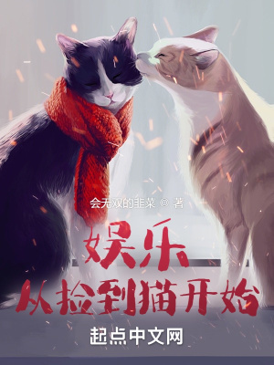 娱乐从捡到猫开始