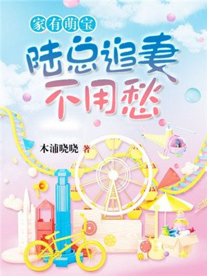 家有萌宝：陆总追妻不用愁