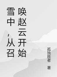 雪中，从召唤赵云开始