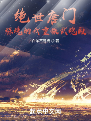 绝世唐门：炼魂的我重振武魂殿